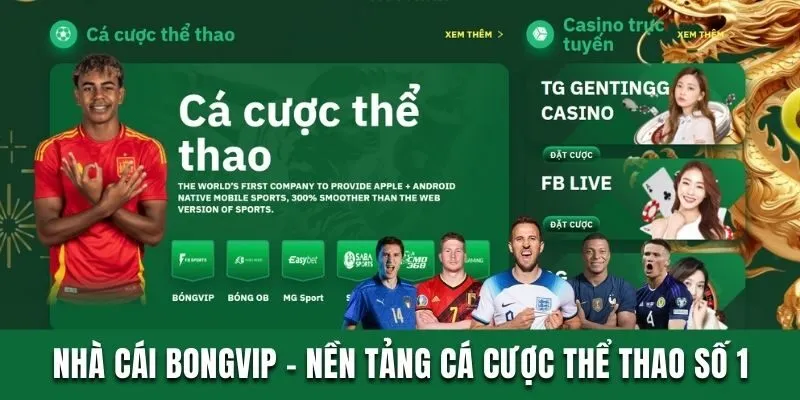 Bongvip - Nhà Cái Online Đa Dạng, Cam Kết Chơi Là Có Thưởng 2 Nhà cái Bongvip - Nền tảng cá cược thể thao số 1